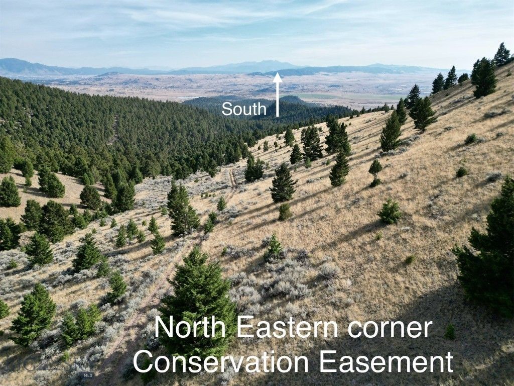 TBD Lookout Trail, Ramsay, MT 59701 photo 18
