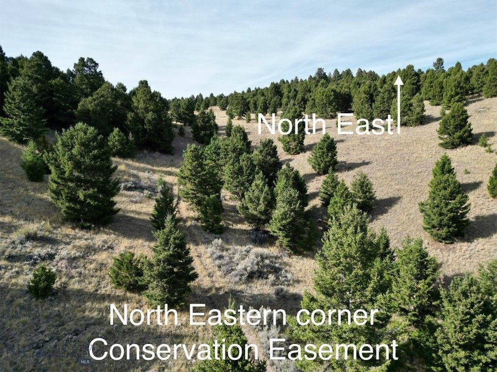 TBD Lookout Trail, Ramsay, MT 59701 photo 20