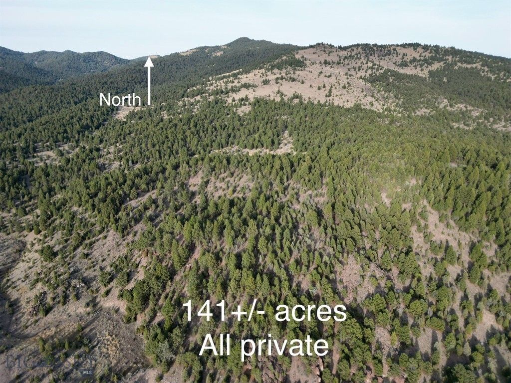 TBD Lookout Trail, Ramsay, MT 59701 photo 21