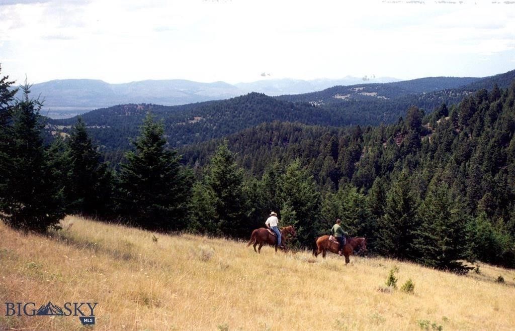 TBD Lookout Trail, Ramsay, MT 59701 photo 25