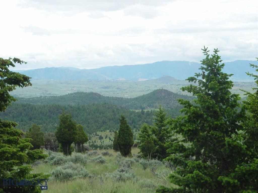 TBD Lookout Trail, Ramsay, MT 59701 photo 28
