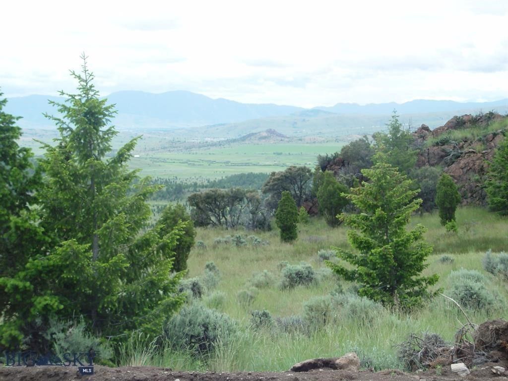 TBD Lookout Trail, Ramsay, MT 59701 photo 29