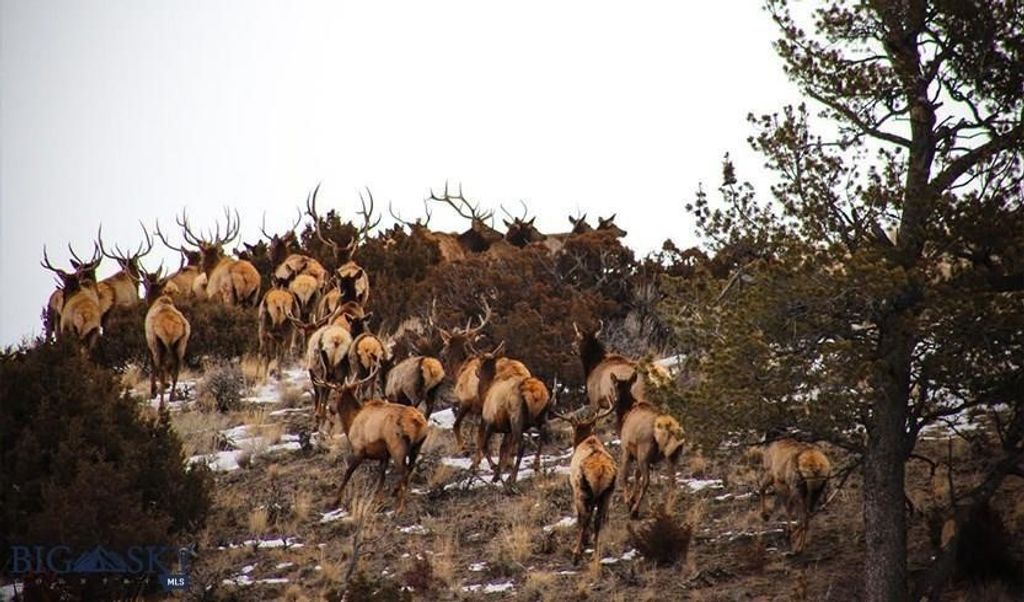 TBD Lookout Trail, Ramsay, MT 59701 photo 32
