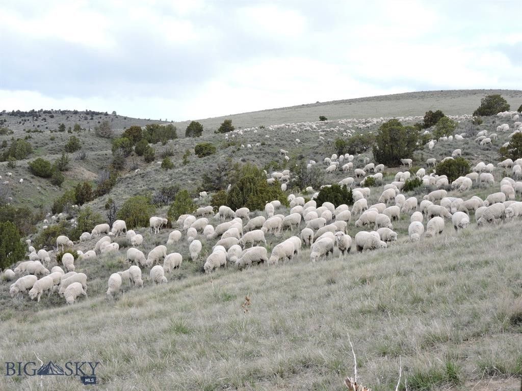 TBD Lookout Trail, Ramsay, MT 59701 photo 33