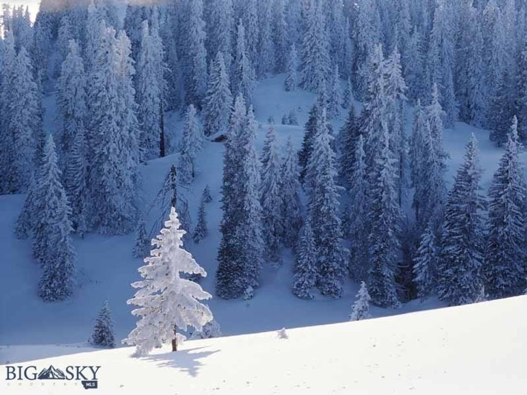 TBD Lookout Trail, Ramsay, MT 59701 photo 35