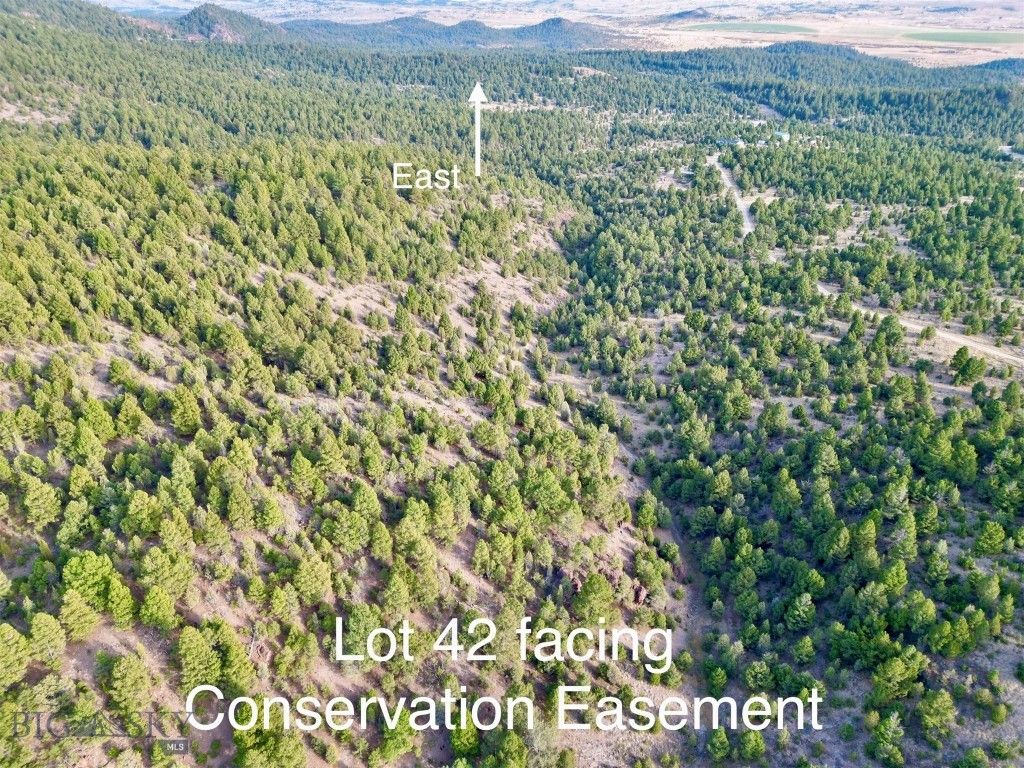 TBD Lookout Trail, Ramsay, MT 59701 photo 9