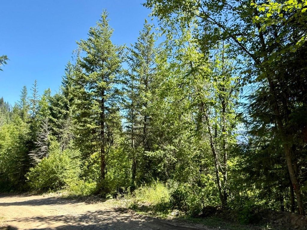 TBD Perenlandra Cir, Other, WA 99121 photo 12