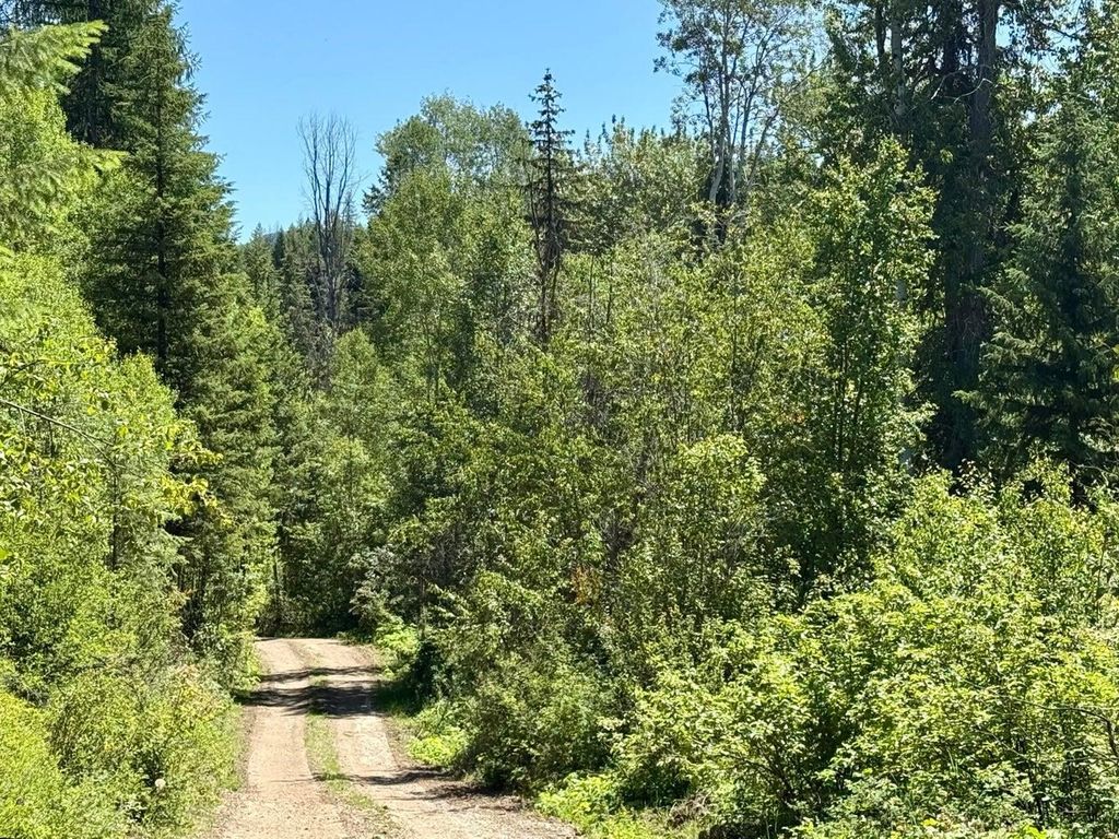 TBD Perenlandra Cir, Other, WA 99121 photo 14