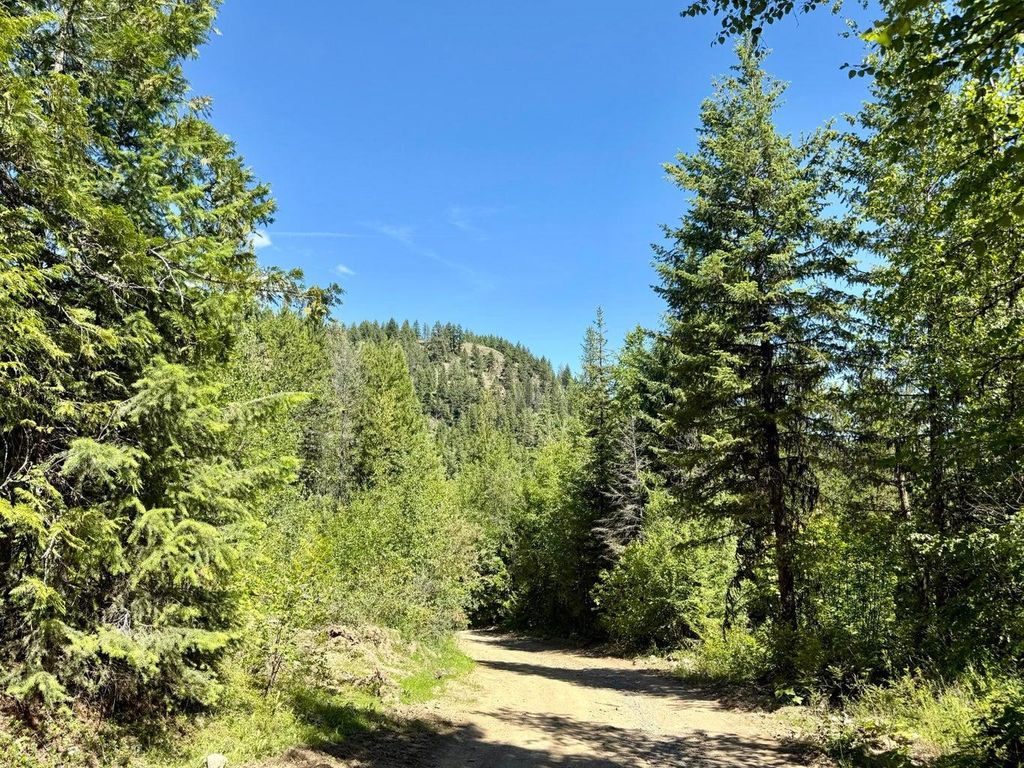 TBD Perenlandra Cir, Other, WA 99121 photo 15