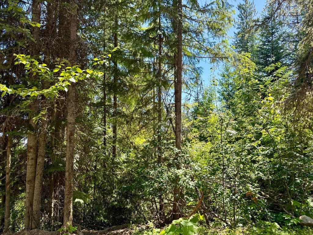 TBD Perenlandra Cir, Other, WA 99121 photo 3