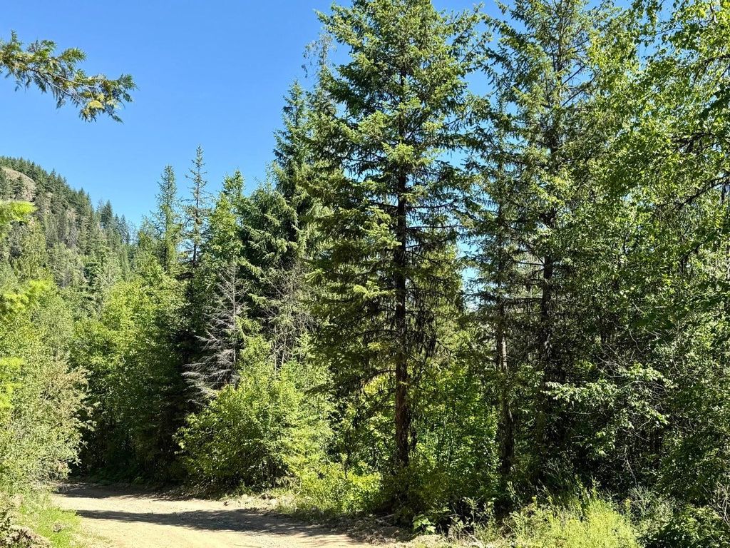 TBD Perenlandra Cir, Other, WA 99121 photo 7