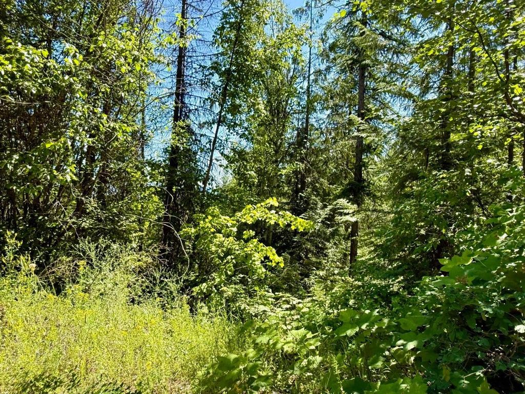 TBD Perenlandra Cir, Other, WA 99121 photo 9