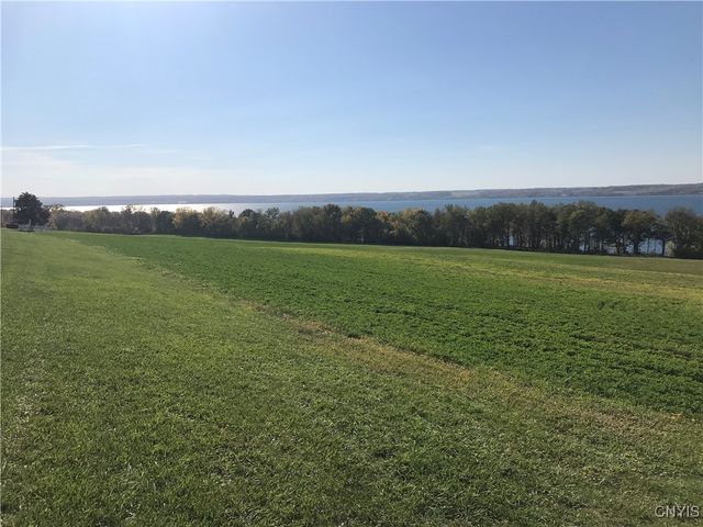 3625 State Route 90 Lot 4 & 4A&B, Ledyard, NY 13026