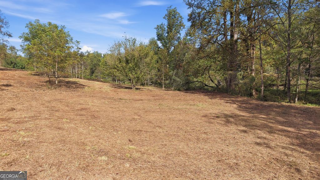 0 Gladston Drive, Mount Airy, GA 30563 — exterior