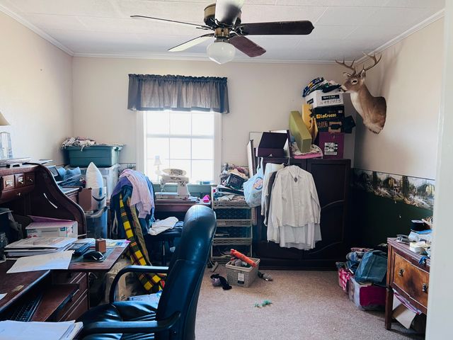 706 County Road 4599, Boyd, TX 76023