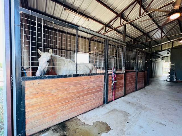706 County Road 4599, Boyd, TX 76023