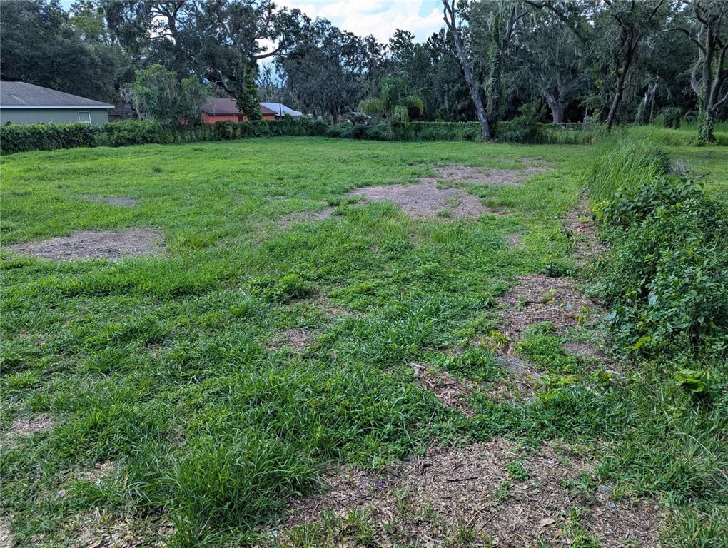 00 KIRKLAND PARK STREET, Mulberry, FL 33860