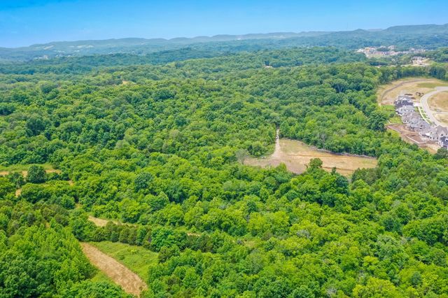 6492 Arno College Grove Rd, College Grove, TN 37046