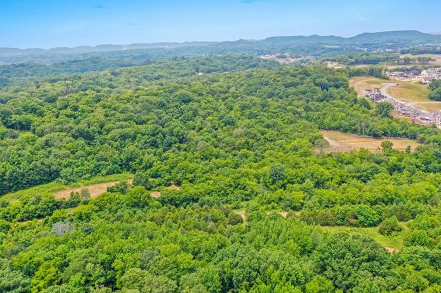 6492 Arno College Grove Rd, College Grove, TN 37046