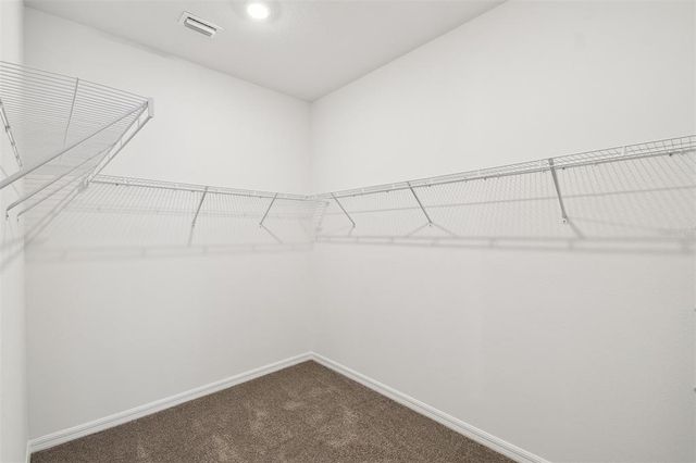 5944 BRISTLE OAK STREET, Mount Dora, FL 32757
