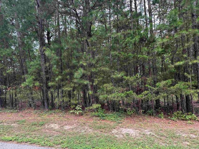 Lot 87 Cobalt Bay Drive, Shirley, AR 72153