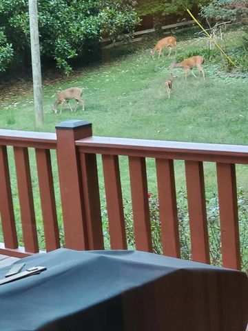 1515 Crestway Drive, Athens, TN 37303