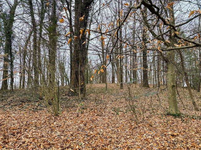 1515 Crestway Drive, Athens, TN 37303