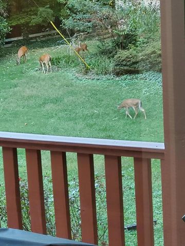 1515 Crestway Drive, Athens, TN 37303