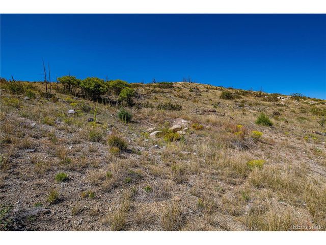 171 Sunset Trl, Cotopaxi, CO 81223