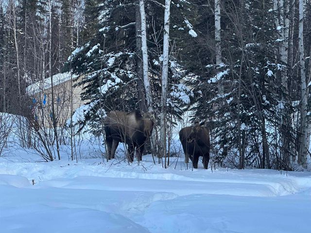 2375 LINDSBORG DRIVE, North Pole, AK 99705