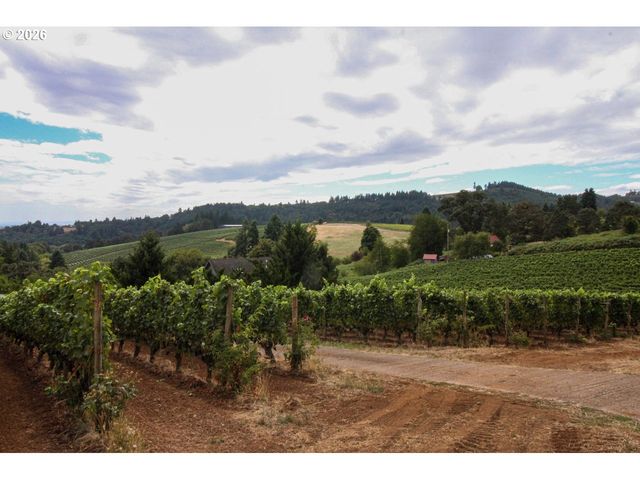 1091 Se ELM St, Dundee, OR 97115