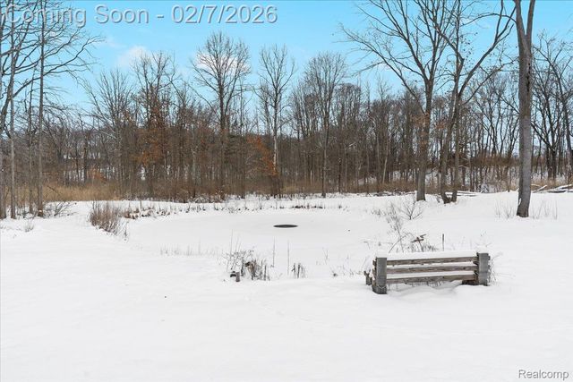 411 Rush Lake Road, Putnam Township, MI 48169