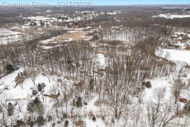 411 Rush Lake Road, Putnam Township, MI 48169