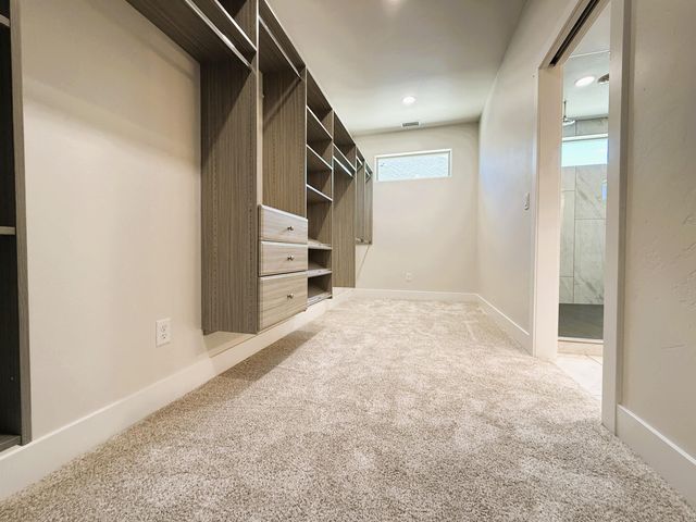 363 Mee Canyon Circle, Fruita, CO 81521