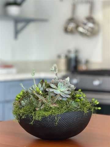 1447 1447 Kains Ave, Berkeley, CA 94702