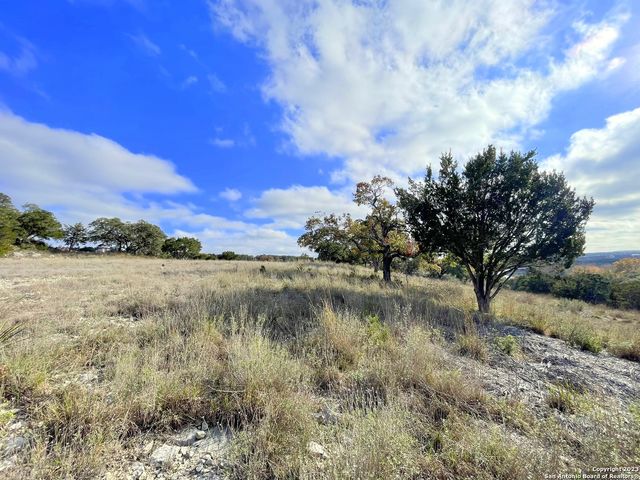 150 Riddle, Spring Branch, TX 78070