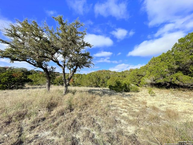 150 Riddle, Spring Branch, TX 78070