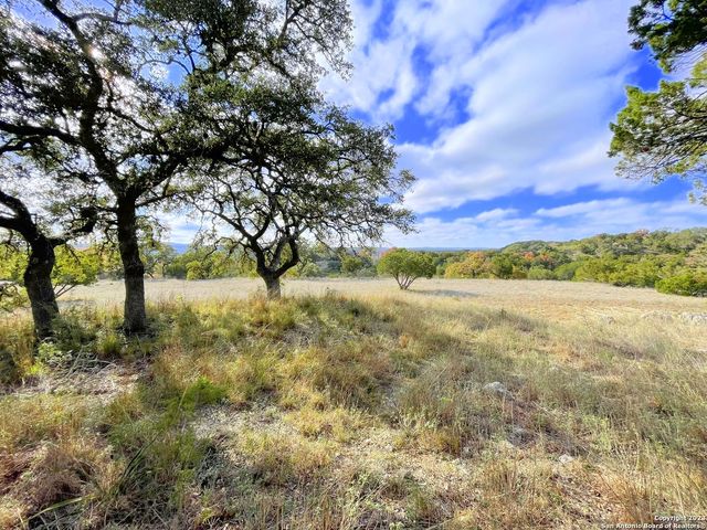 150 Riddle, Spring Branch, TX 78070