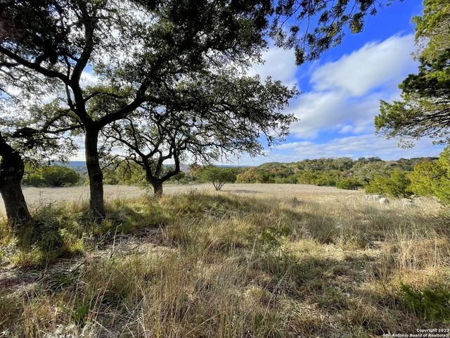 150 Riddle, Spring Branch, TX 78070