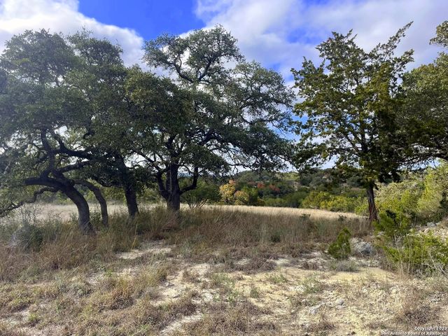 150 Riddle, Spring Branch, TX 78070