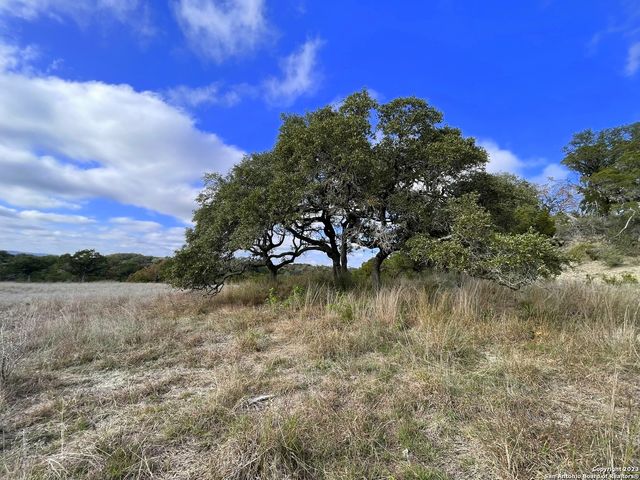 150 Riddle, Spring Branch, TX 78070