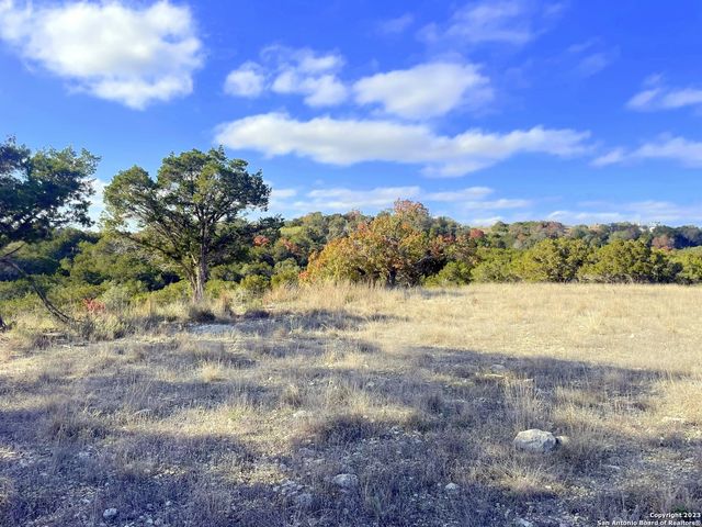 150 Riddle, Spring Branch, TX 78070