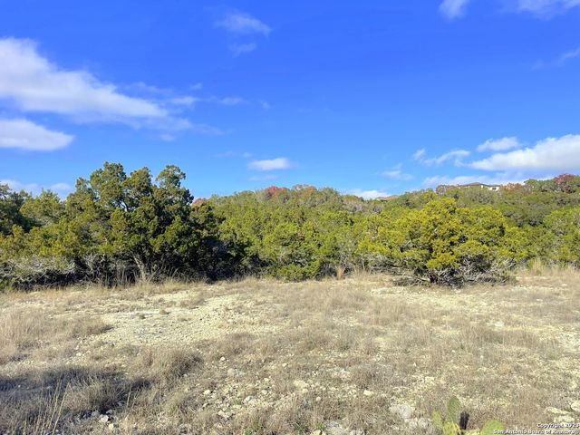 150 Riddle, Spring Branch, TX 78070