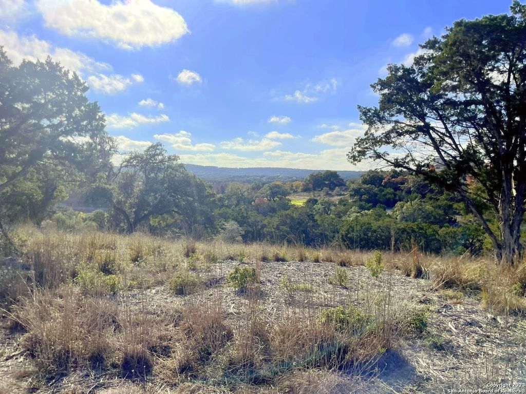 150 Riddle, Spring Branch, TX 78070