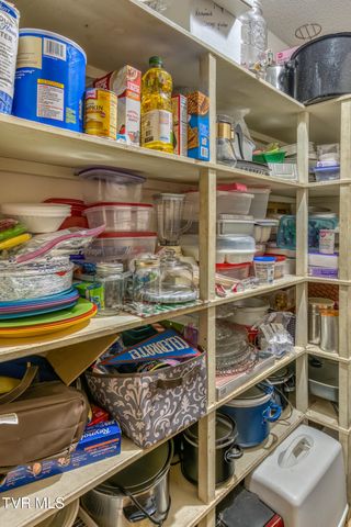 16 Chaucer Court, Gray, TN 37615