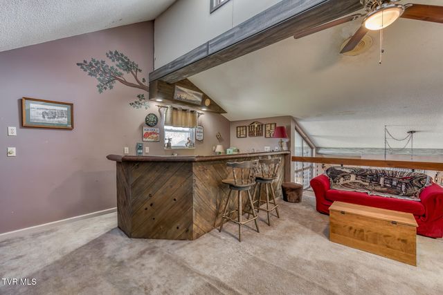 16 Chaucer Court, Gray, TN 37615