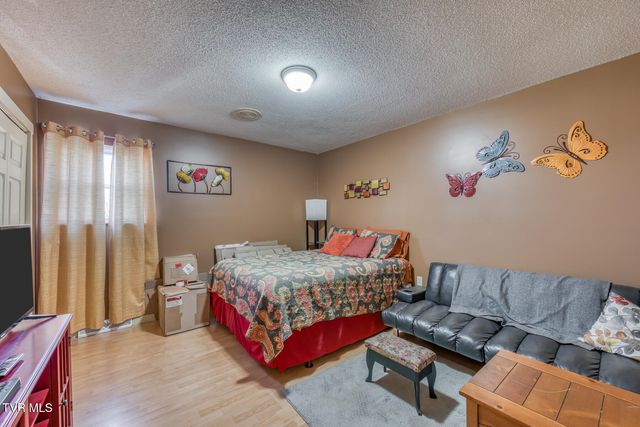 16 Chaucer Court, Gray, TN 37615