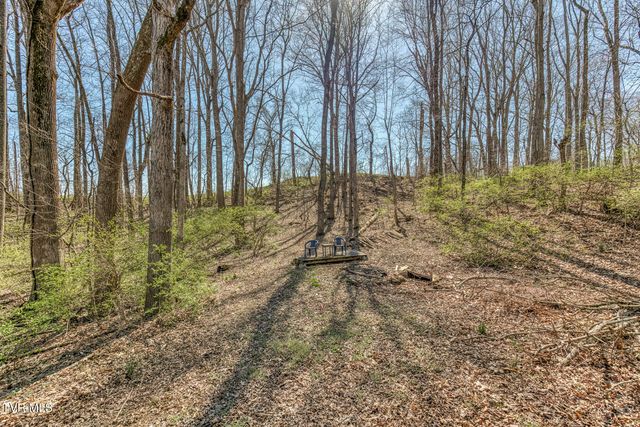 16 Chaucer Court, Gray, TN 37615