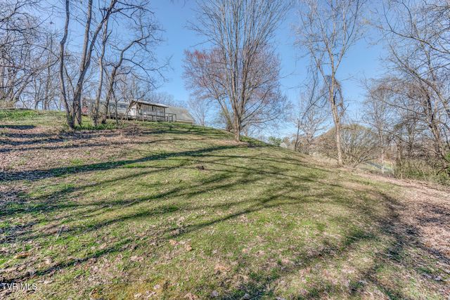 16 Chaucer Court, Gray, TN 37615