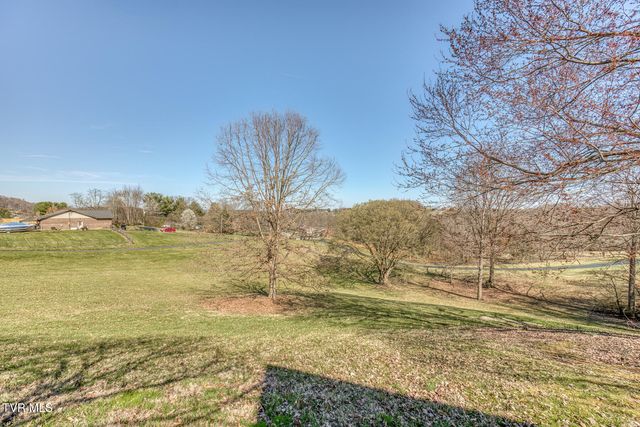 16 Chaucer Court, Gray, TN 37615